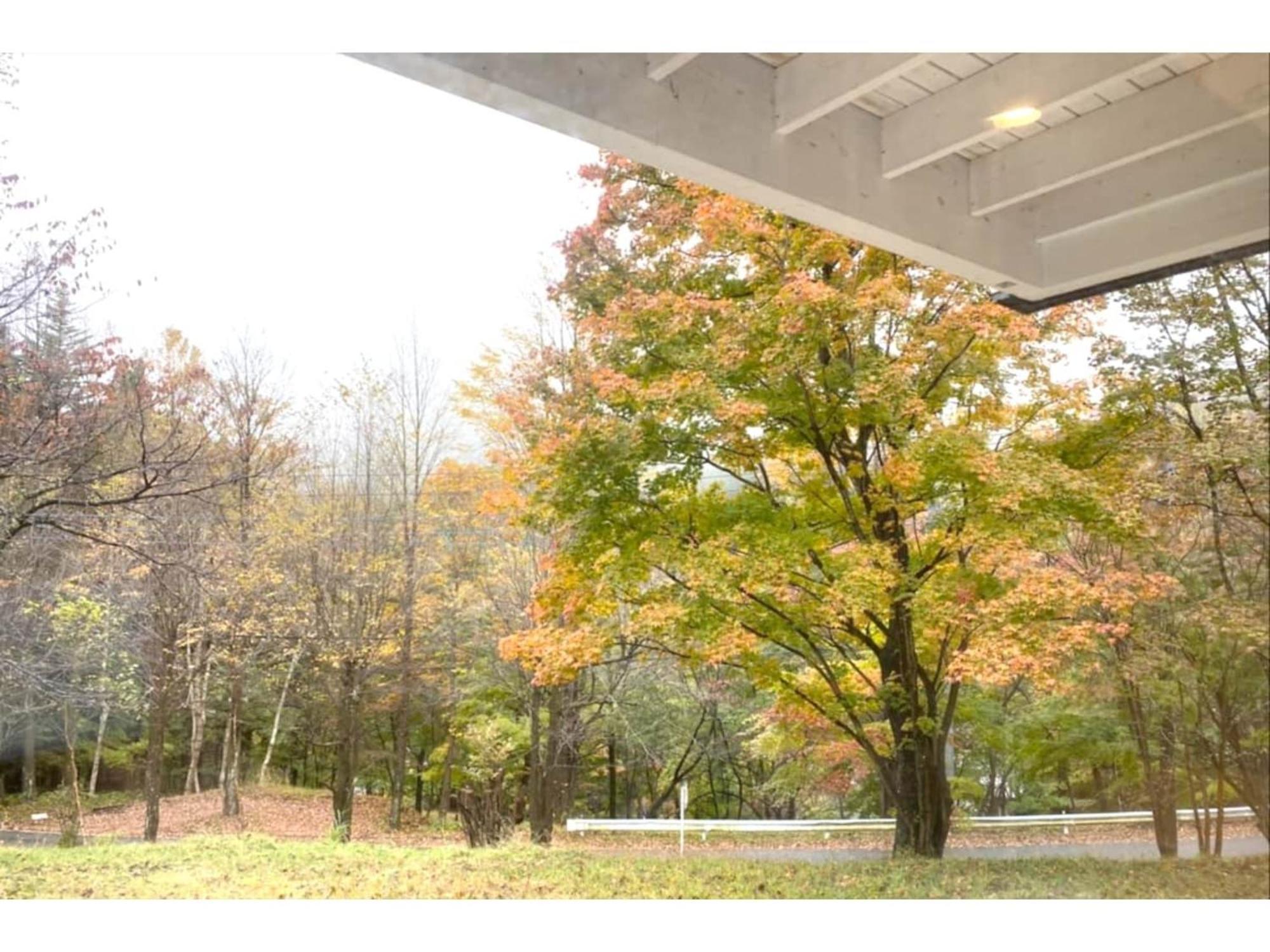 Polar Haus Minamikaruisawa1 - Vacation Stay 88000V 가루이자와 외부 사진